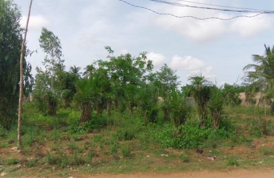 Vakpossito TV03, à vendre terrains de 1200 m2 (2 lots collés) Lomé Togo