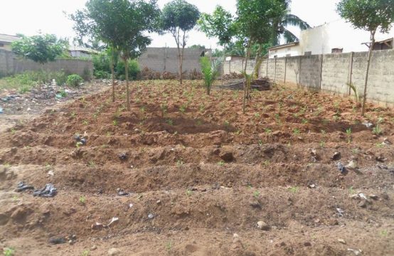 Vakpossito TV03, à vendre terrain de 300 m2 (1/2 lot) Lomé Togo