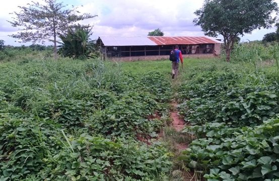 Aképé TV03, à vendre terrains à Aképé au Togo