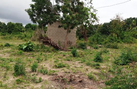 Agoènyivé TV09, à vendre terrain à Lomé Togo
