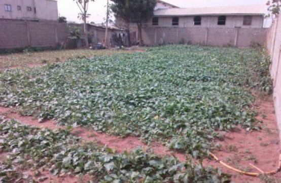 Baguida TV03, à vendre terrain de 1 lot à Lomé Togo
