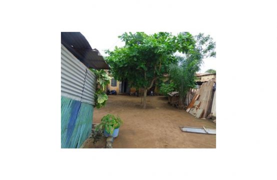 Wétrivikondji TV02, à vendre terrain de 1 lot avec titre foncier à Lomé Togo